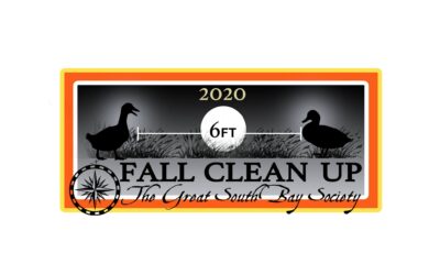 Fall Clean Up 2020